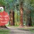 family cycle routes in new forest