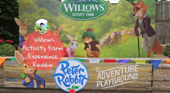 Willows Activity Farm Experience Review